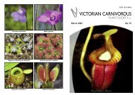 Growing Nepenthes – Part 1 - Victorian Carnivorous Plant Society