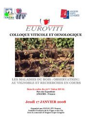 Colloque Viticole et Œnologique - Techniloire