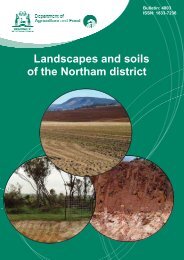 2 Landscapes and soils of the Northam district - Department of ...
