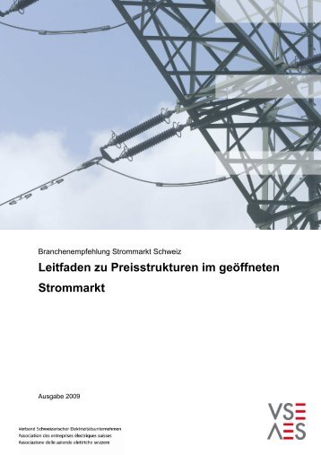 Leitfaden zu Preisstrukturen im geöffneten Strommarkt - VSE