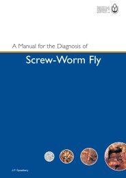 Manual for the Diagnosis of Screw Worm Fly - Animal Health Australia