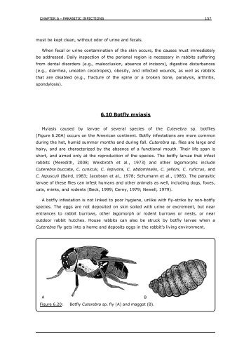 Skin diseases - Medirabbit