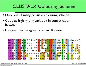 CLUSTALX Colouring Scheme - EMBL