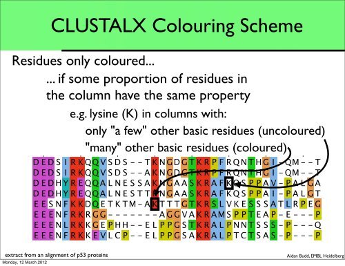 CLUSTALX Colouring Scheme - EMBL