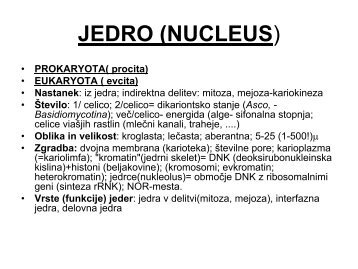 JEDRO (NUCLEUS)