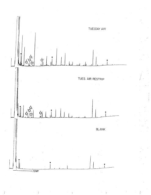 Gschwend%20thesis.pdf