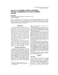 OF CUTEREBRA LEPUSCULI - Journal of Wildlife Diseases