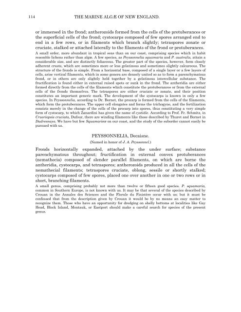 PDF file (text) - Cryptogamic Botany Company