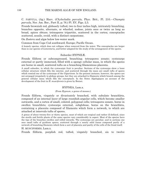 PDF file (text) - Cryptogamic Botany Company