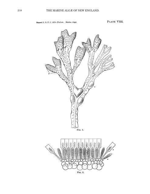 PDF file (text) - Cryptogamic Botany Company