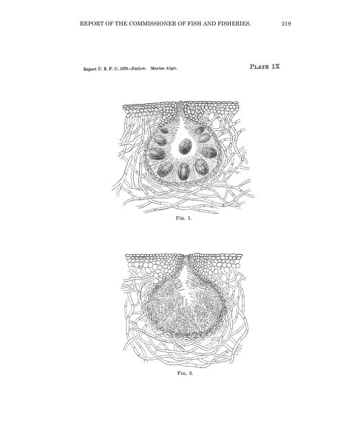 PDF file (text) - Cryptogamic Botany Company