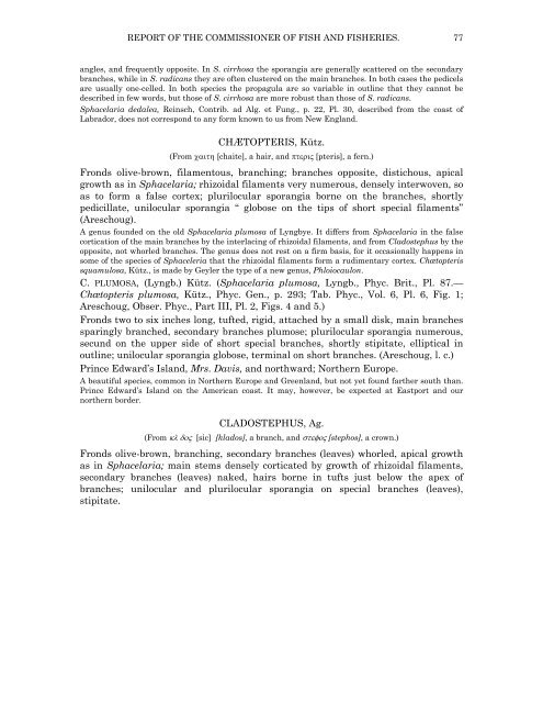 PDF file (text) - Cryptogamic Botany Company