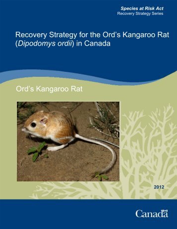 Ord's Kangaroo Rat (Dipodomys ordii) - Publications du ...