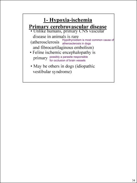 Glial cells (stromal cells) Oligodendrocytes ... - CSU PVM 2014