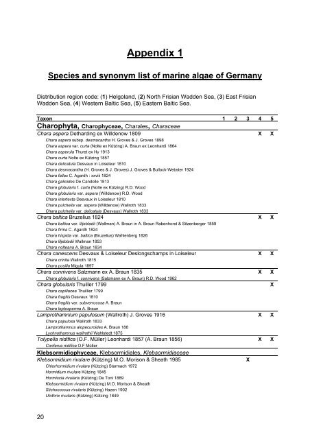 Species and synonym list of the German marine - Institut für ...