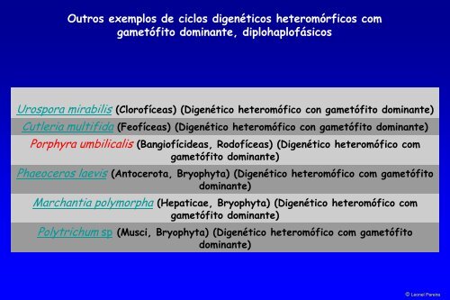 Ciclo de Vida da Espirogira