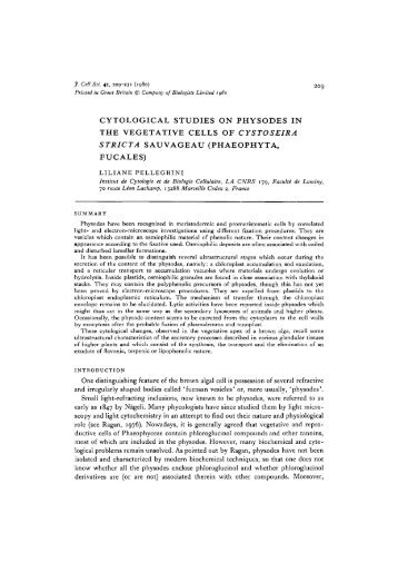 cytological studies on physodes in the vegetative - Journal of Cell ...