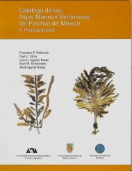 catálogo de las algas marinas bentónicas del ... - SeaweedAfrica