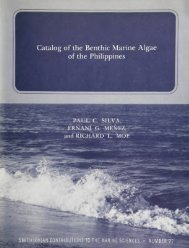 Catalog of the Benthic Marine Algae of the ... - SeaweedAfrica