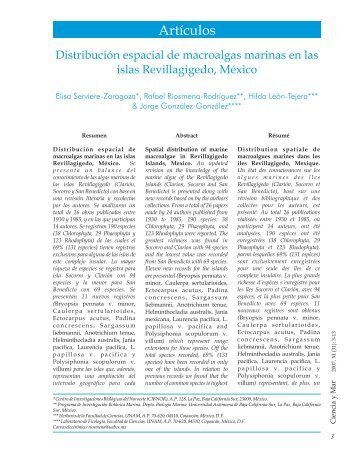 Revista no. 31 - Universidad del Mar