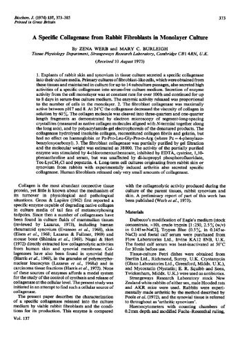 A Specific Collagenase from Rabbit Fibroblasts in Monolayer Culture