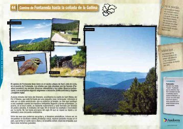 Camino de Fontaneda hasta la collada de la Gallina 44 - Andorra