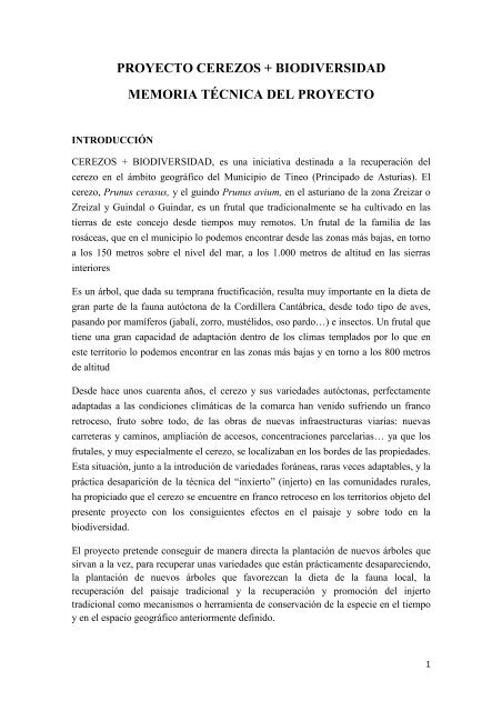 Memoria Tineo.pdf - Premio Conama