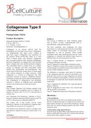 Collagenase Type II - HiMedia Laboratories