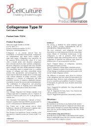 Collagenase Type IV - HiMedia