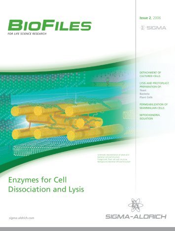 Enzymes for Cell Dissociation and Lysis - Sigma-Aldrich