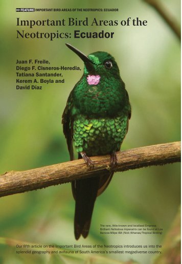Important Bird Areas of the Neotropics:Ecuador - Neotropical Bird Club