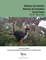 Noticias de Crácidos Notícias de Cracídeos Cracid News