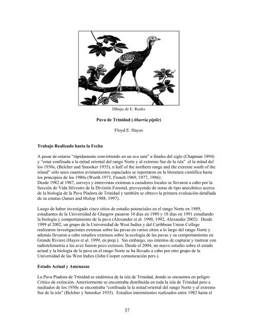 64 - Horned Curassow (Pauxi unicornis) - Cracid Specialist Group