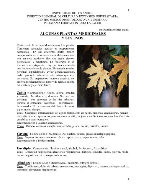 expectorante y diabetes