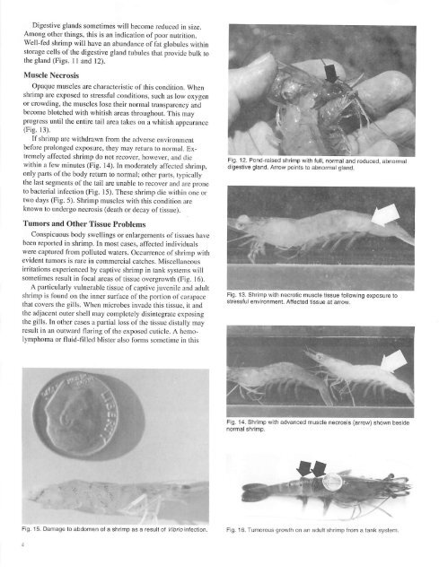 Handbook of Shrimp Diseases - the National Sea Grant Library