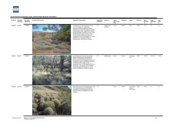 Appendix 2 Turee Syncline Infrastructure Area ... - Rio Tinto Iron Ore