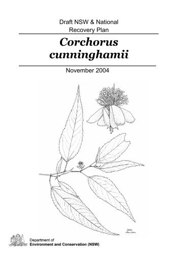 Corchorus cunninghamii - Department of Environment and Climate ...