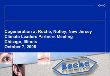 Cogeneration at Roche, Nutley, New Jersey