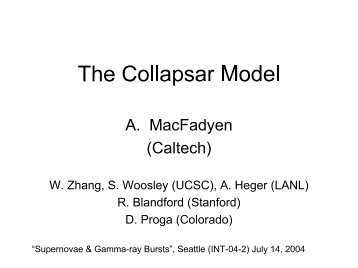 The Collapsar Model