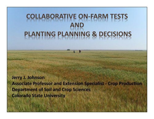 Jerry Johnson - Colorado State University Wheat Breeding and ...