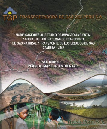 volumen iii plan de manejo ambiental - Ministerio de Energía y Minas