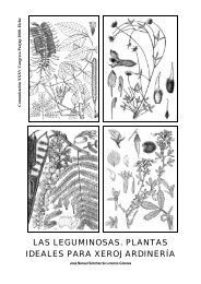 las leguminosas. plantas ideales para xerojardinería - Árboles ...
