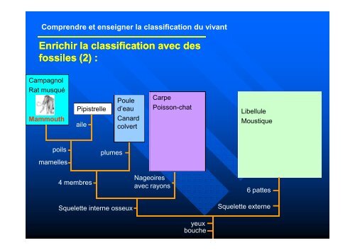 Comprendre et enseigner la classification du vivant