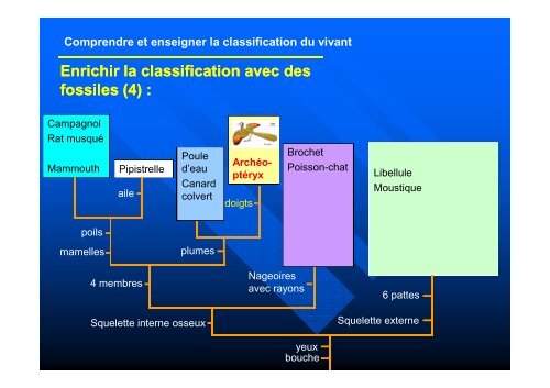 Comprendre et enseigner la classification du vivant