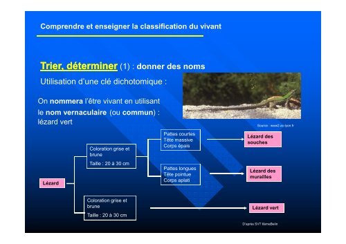 Comprendre et enseigner la classification du vivant