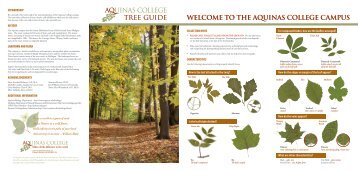 TREE GUIDE WELCOME TO THE AQUINAS COLLEGE CAMPUS