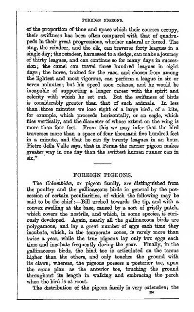 Beeton's book of poultry and domestic animals - Thurman Lodge ...