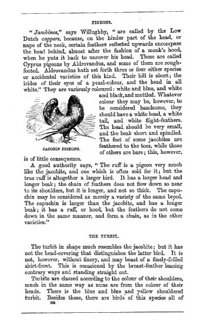 Beeton's book of poultry and domestic animals - Thurman Lodge ...