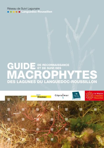 macrophytEs - Archimer - Ifremer