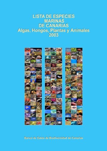 Lista de especies marinas de Canarias. Algas, Hongos